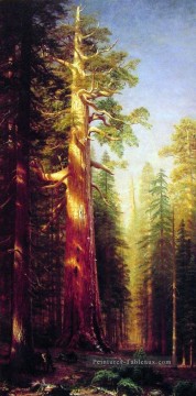  Grand Tableaux - Les grands arbres Albert Bierstadt